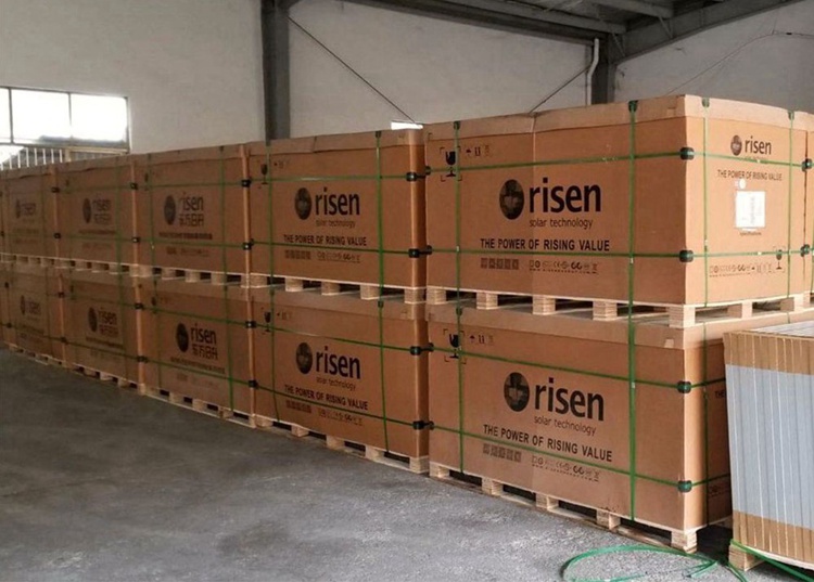 risen solar panel in stock