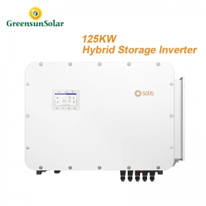 Solis Energy Storage Inverter 80KW 100KW 125KW Three Phase Hybrid Solar Inverter for ESS